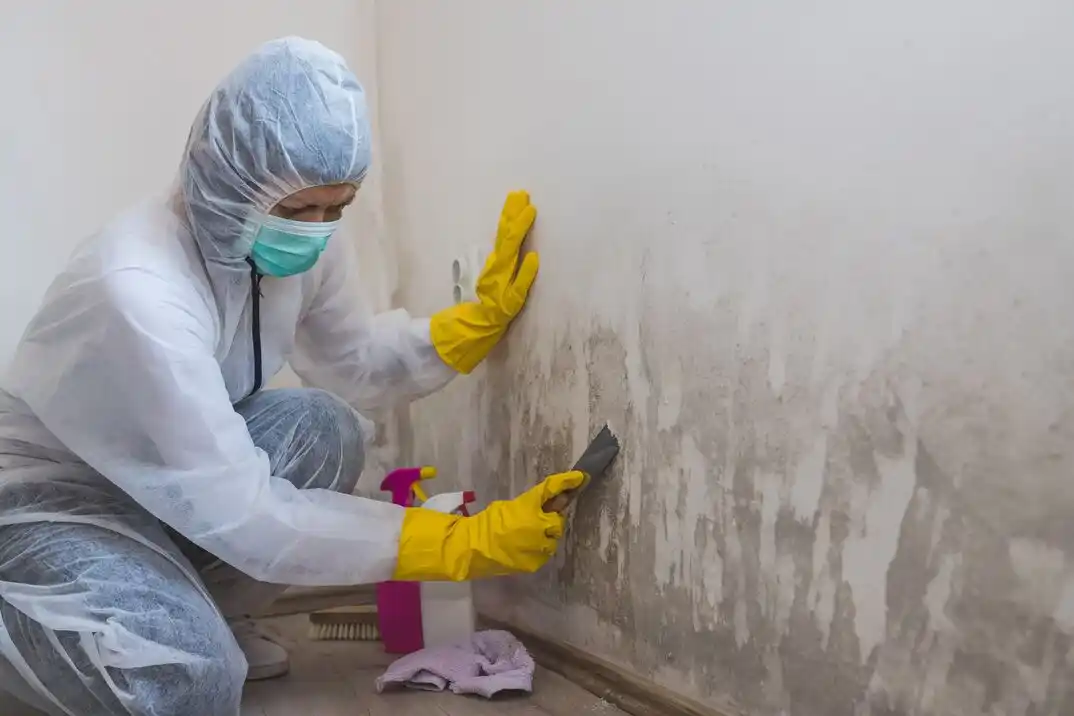 water damage restoration service Slater Rd-Hamilton Circle